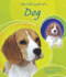 Life Cycle of a Dog