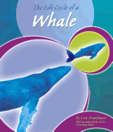 Life Cycle of a Whale