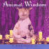 Animal Wisdom: More Animal Antics from John Lund