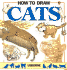 How to Draw Cats