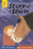 The story of a storm