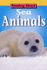 Sea Animals
