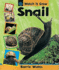 Snail