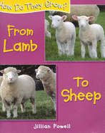 Lamb to Sheep