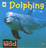 Dolphins