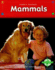Mammals