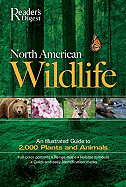 North American Wildlife
