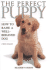 Perfect Puppy