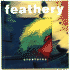Feathery Creatures (Animal Touch)