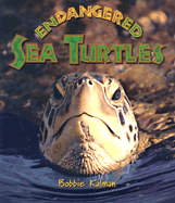 Endangered Sea Turtles