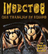 Insectos Que Trabajan en Equipo
