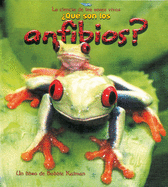 Que Son los Anfibios?