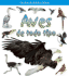 Aves de Todo Tipo