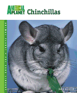 Chinchillas