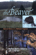 beaver