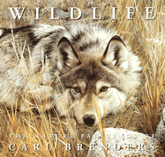 Wildlife the Nature Paintings of Carl Brenders