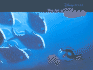 The Art of Finding Nemo