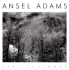 Ansel Adams Engagement Calendar 2001