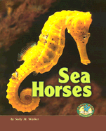 Sea Horses
