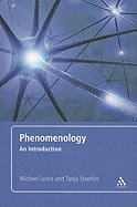 Phenomenology: An Introduction