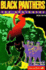 Black Panthers for Beginners (Tr)