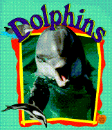 Dolphins