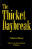 The Thicket Daybreak