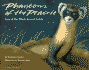 Phantom of the Prairie: Year of the Black-Footed Ferret