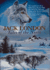 Jack London: Tales of the North