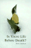 Is There Life Before Death?: I Was an Imaginary Playmate in My Past Lives