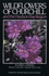 Wildflowers of Churchill & Hudson Bay