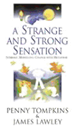 A Strange and Strong Sensation: Symbolic Modelling - Change with Metaphor