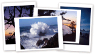 Oregon Coast Collection Notecard Set