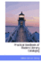 Practical Handbook of Modern Library Cataloging