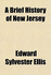 A Brief History of New Jersey