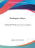 Washington Allston: A Study of the Romantic Artist in America
