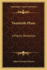 The Twentieth Plane: A Psychic Revelation