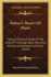 Palmer's Theory of Music: Being a Practical Guide to the Study of Thorough-Bass, Harmony, Musical Composition and Form (1876)