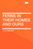 Ferns in Their Homes and Ours