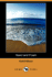 Sand and Foam
