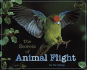 The Secrets of Animal Flight