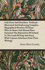Irish Poets and Novelists; Profusely Illustrated and Embracing Complete Biographical Sketches of Those Who at Home and Abroad Have Sustained the Reputation of Ireland as the Land of Song and Story, with Copious Selections from Their Writings