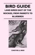 Bird Guide: Land Birds East of the Rockies from Parrots to Bluebirds