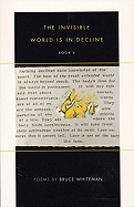 The Invisible World Is in Decline