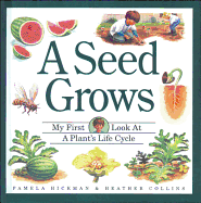 A Seed Grows