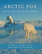 Arctic Fox: Life at the Top of the World