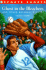 Ghost in the Bleachers and Other Baseball Stories