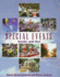 Special Events: Inside & Out