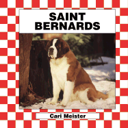 Saint Bernards