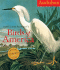 John James Audubon's Birds of America 2010 Calendar